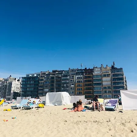 Apartamento De Zandkorrel - Amazing Seaview